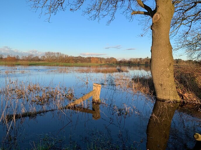Het struinpad: nu even niet - Foto: Ingezonden foto