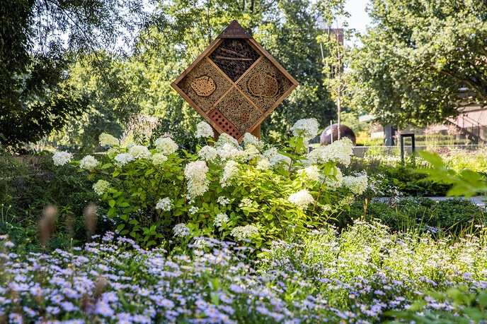 Eerste hulp bij toffe groene ideeën - Foto: Ingezonden foto