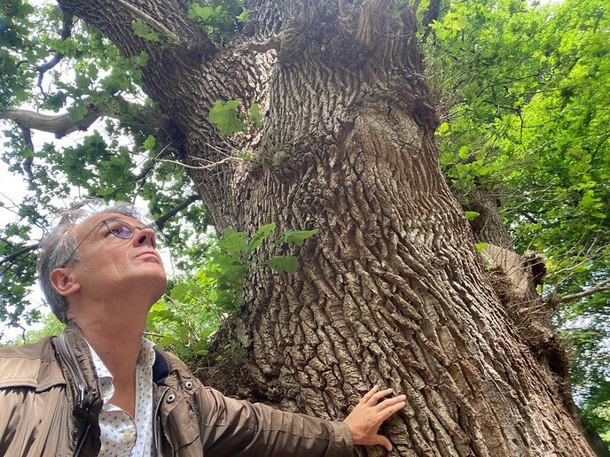 Met andere ogen wandelen door het Vechtdal - Foto: Ingezonden foto