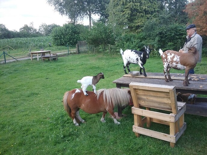 Eem bokspringen - Foto: Ingezonden foto