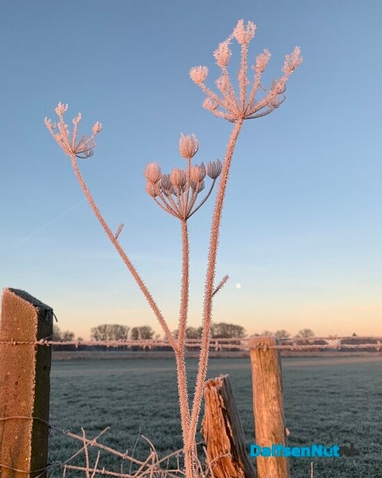 Genieten in Dalfsen - Foto: Ingezonden foto
