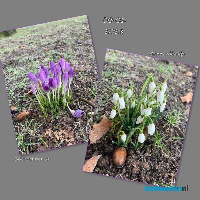 Genieten in Dalfsen - Foto: Ingezonden foto