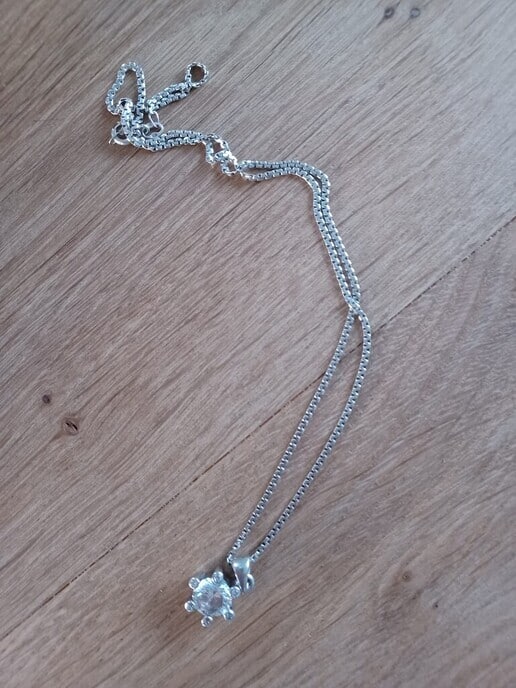 Ketting met hangertje gevonden, maar eigenaar ook - Foto: Ingezonden foto
