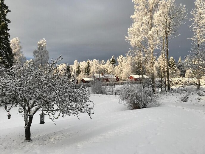 De eerste wintervakantie foto’s zijn binnen - Foto: Ingezonden foto