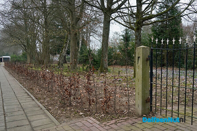Nieuwe haag om gedeelte begraafplaats Ruitenborgh - Foto: Paul Scholten