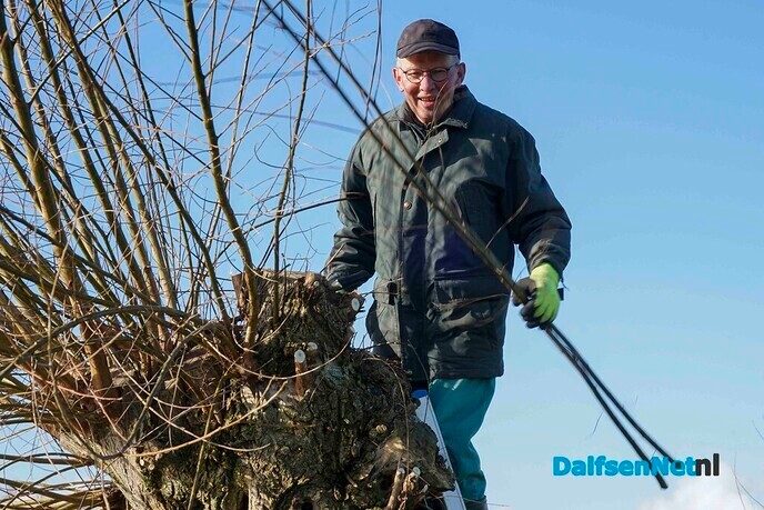 Enthousiaste vrijwilligers knotten wilgen - Foto: Paul Scholten