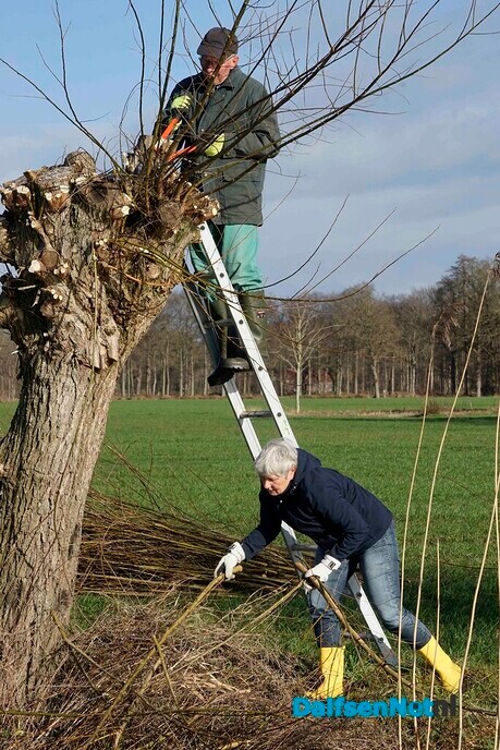 Enthousiaste vrijwilligers knotten wilgen - Foto: Paul Scholten