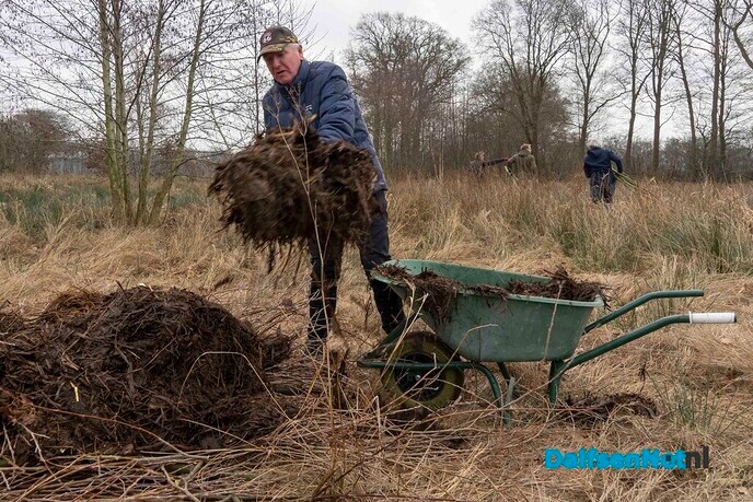 Twee broeihopen voor de ringslang bij Hoonhorst aangelegd - Foto: Paul Scholten