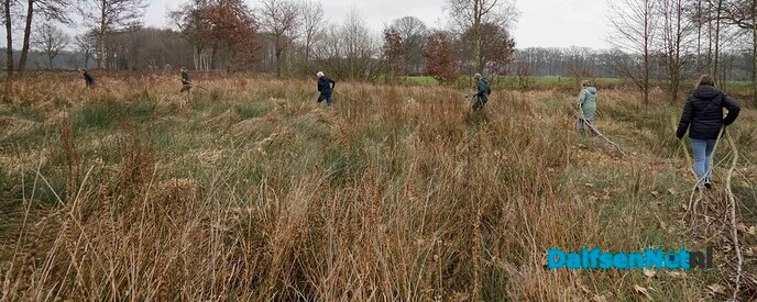 Twee broeihopen voor de ringslang bij Hoonhorst aangelegd - Foto: Paul Scholten