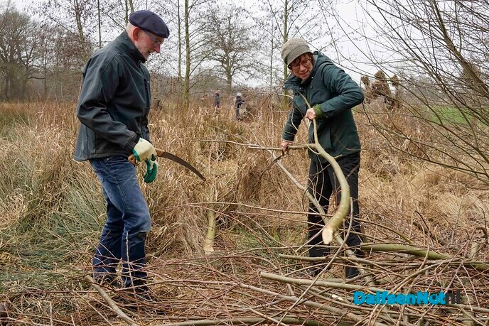 Twee broeihopen voor de ringslang bij Hoonhorst aangelegd - Foto: Paul Scholten
