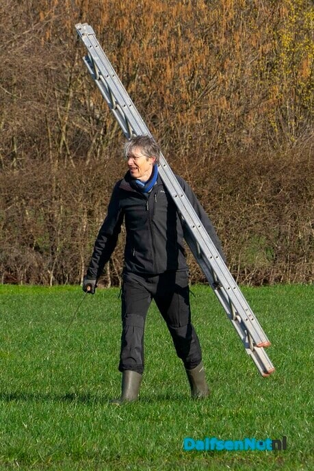 Enthousiaste vrijwilligers knotten wilgen - Foto: Paul Scholten