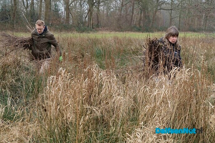 Twee broeihopen voor de ringslang bij Hoonhorst aangelegd - Foto: Paul Scholten