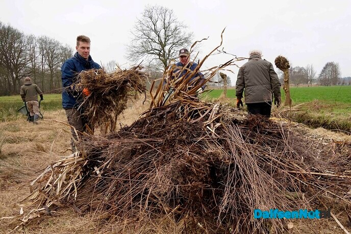 Twee broeihopen voor de ringslang bij Hoonhorst aangelegd - Foto: Paul Scholten