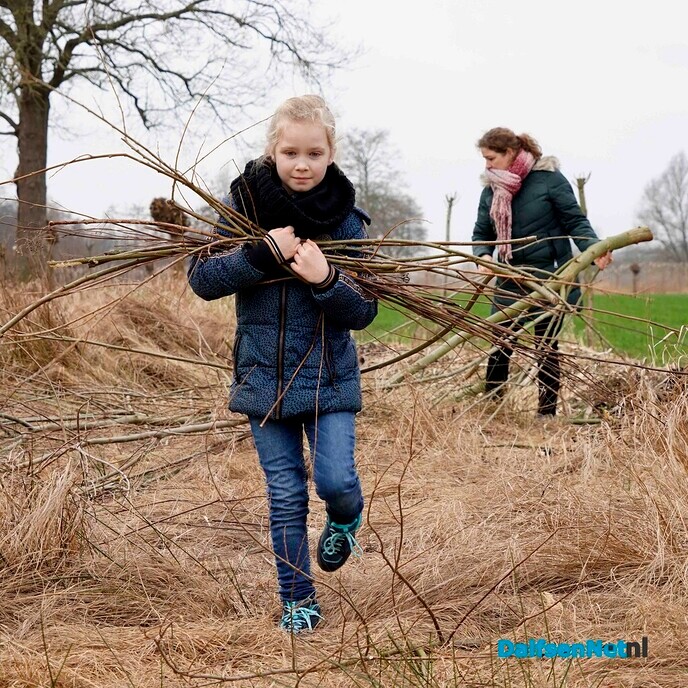 Twee broeihopen voor de ringslang bij Hoonhorst aangelegd - Foto: Paul Scholten