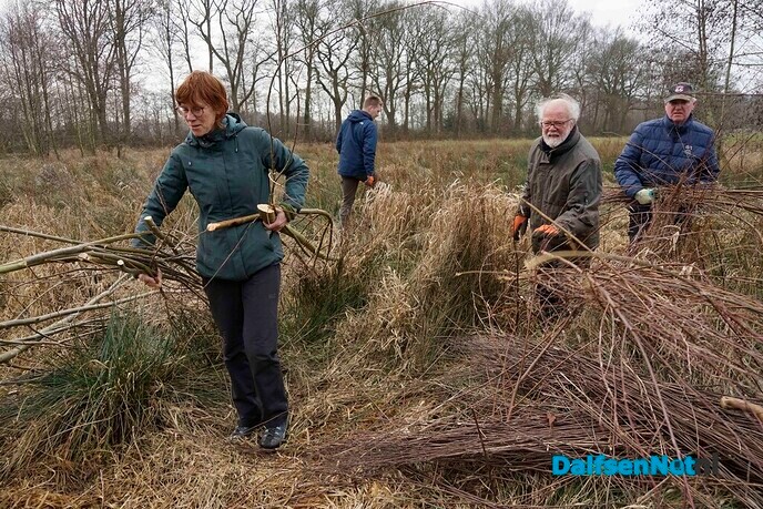 Twee broeihopen voor de ringslang bij Hoonhorst aangelegd - Foto: Paul Scholten