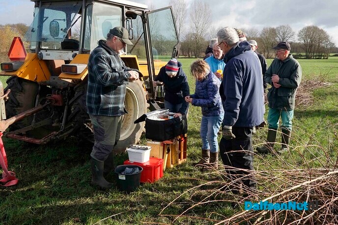 Enthousiaste vrijwilligers knotten wilgen - Foto: Paul Scholten