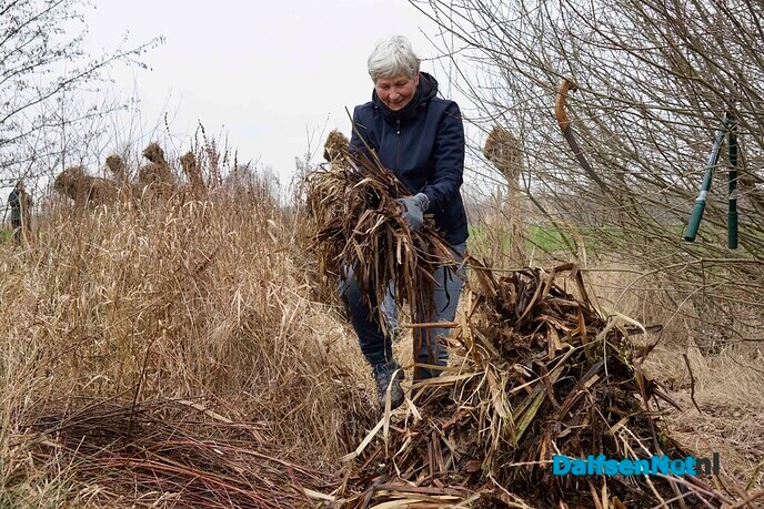 Twee broeihopen voor de ringslang bij Hoonhorst aangelegd - Foto: Paul Scholten