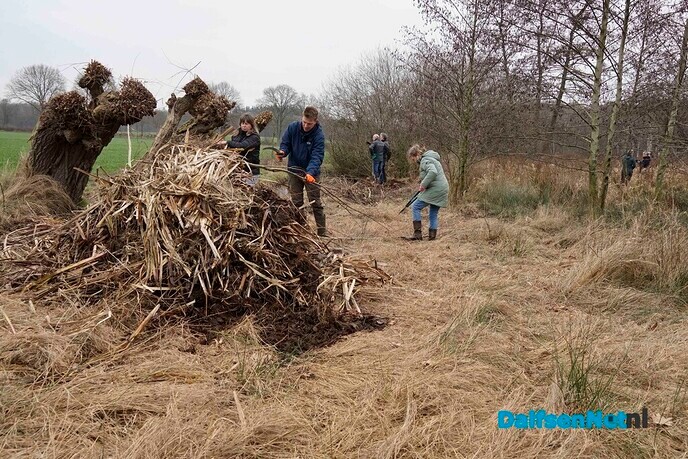 Twee broeihopen voor de ringslang bij Hoonhorst aangelegd - Foto: Paul Scholten