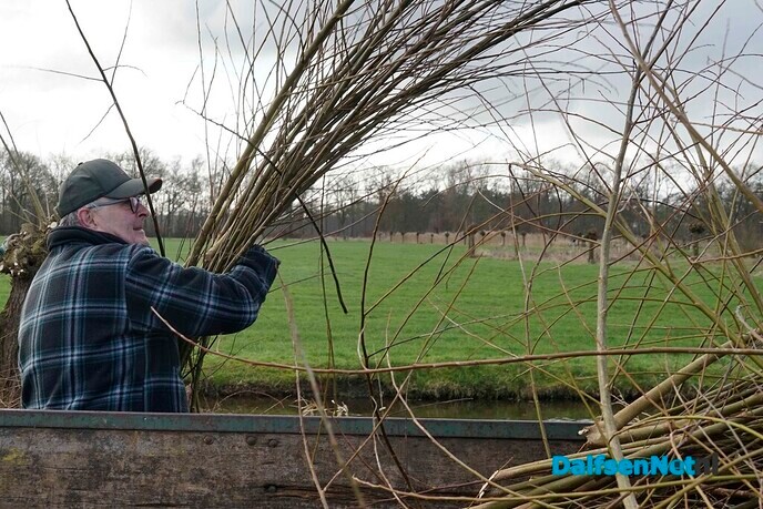 Enthousiaste vrijwilligers knotten wilgen - Foto: Paul Scholten