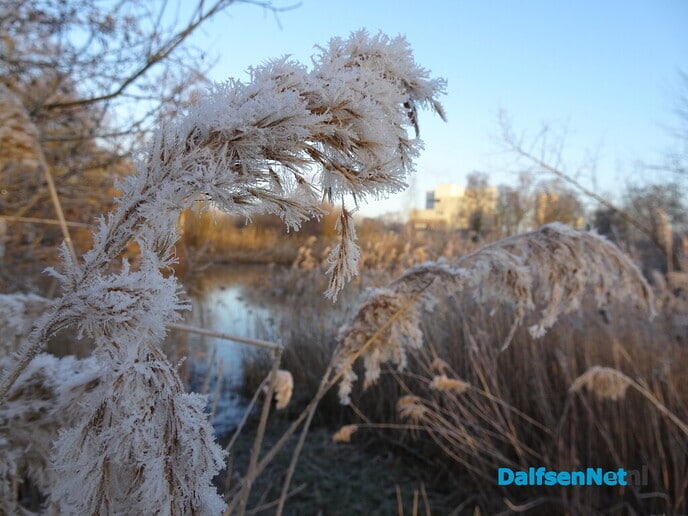 Heerlijk weer - Foto: Ingezonden foto