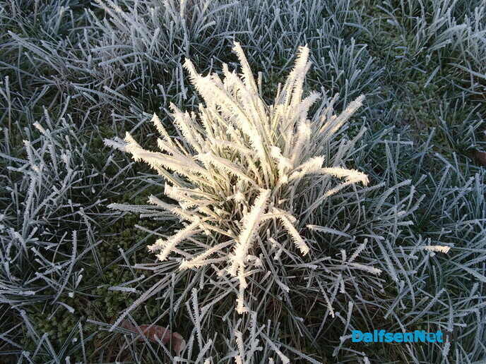 Heerlijk weer - Foto: Ingezonden foto