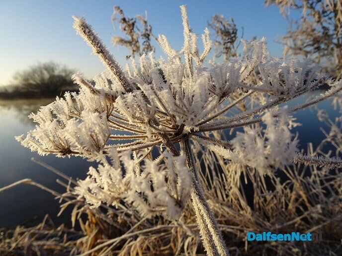 Heerlijk weer - Foto: Ingezonden foto
