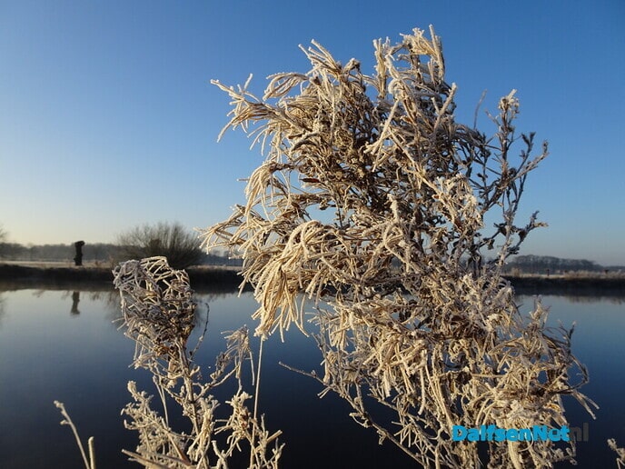 Heerlijk weer - Foto: Ingezonden foto
