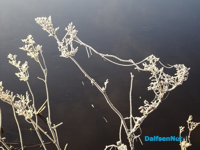 Heerlijk weer - Foto: Ingezonden foto