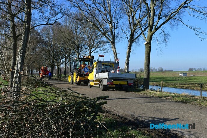 Snoeiwerkzaamheden aan Koepelallee en Poppenallee in Dalfsen - Foto: Johan Bokma