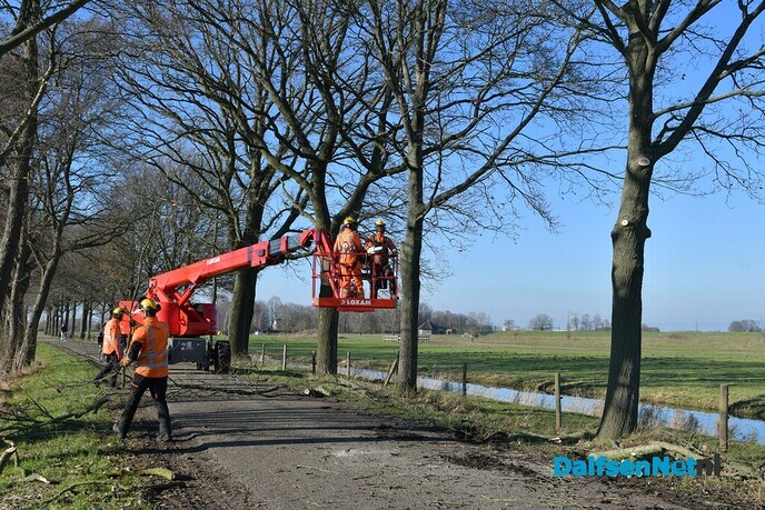 Snoeiwerkzaamheden aan Koepelallee en Poppenallee in Dalfsen - Foto: Johan Bokma