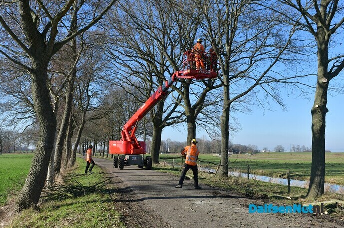 Snoeiwerkzaamheden aan Koepelallee en Poppenallee in Dalfsen - Foto: Johan Bokma