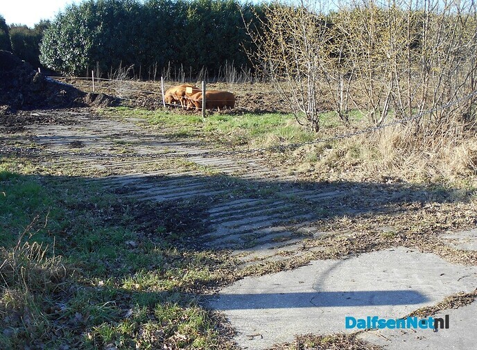 Het omploegen gaat gewoon door