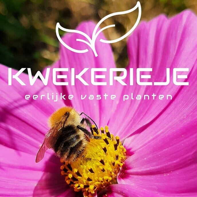 Gezocht: 2500 m2 grond voor opstart kwekerij