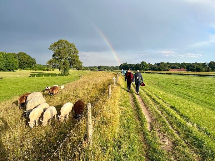 We gaan weer wandelen - Foto: Ingezonden foto