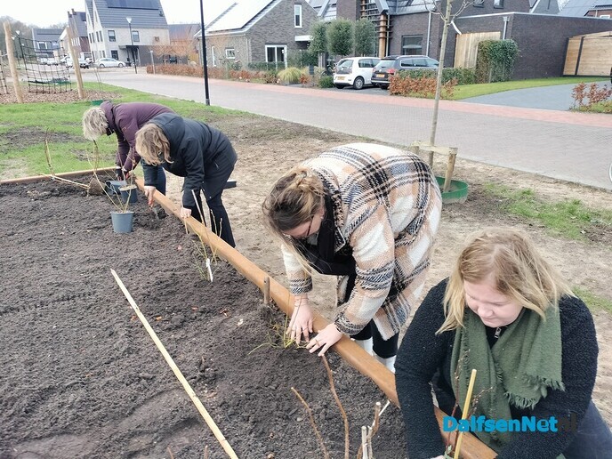 Moestuin in wijk OosterDalfsen van start - Foto: Ingezonden foto