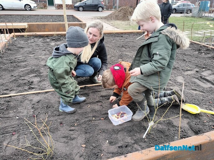 Moestuin in wijk OosterDalfsen van start - Foto: Ingezonden foto