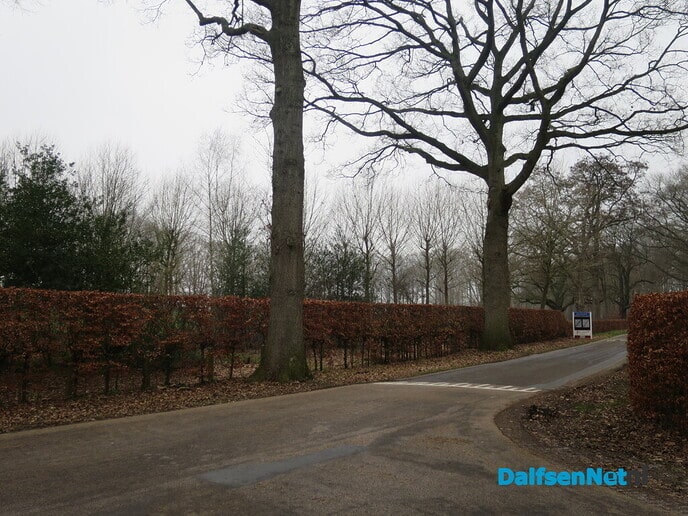 Bomen in en van de gemeente Dalfsen 2 - Foto: Wim
