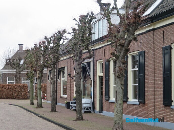 Bomen in Hoonhorst, geen eigendom gemeente 3 - Foto: Wim