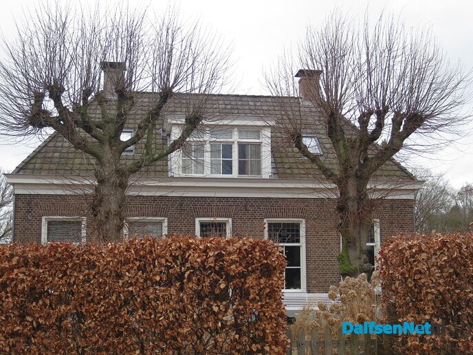 Bomen in Hoonhorst, geen eigendom gemeente 3 - Foto: Wim