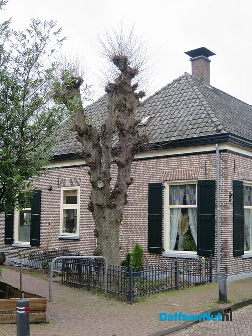 Bomen in Hoonhorst, geen eigendom gemeente 3 - Foto: Wim