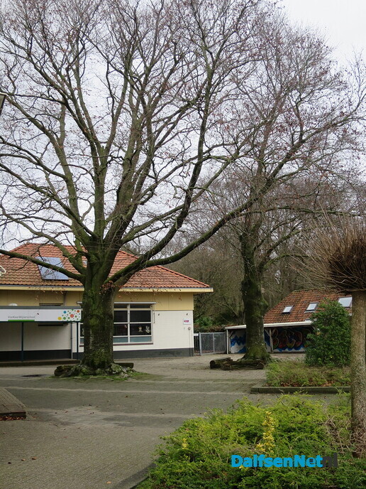 Bomen in Hoonhorst, geen eigendom gemeente 3 - Foto: Wim