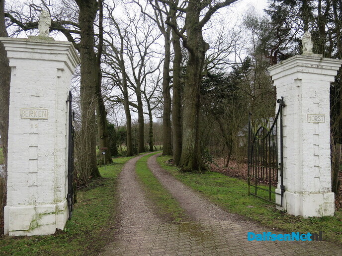 Bomen in Hoonhorst, geen eigendom gemeente 3 - Foto: Wim