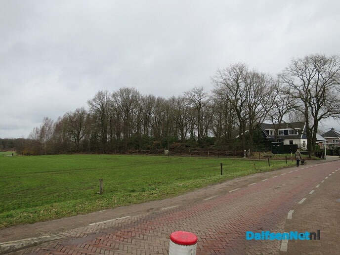 Bomen in Hoonhorst, geen eigendom gemeente 3 - Foto: Wim