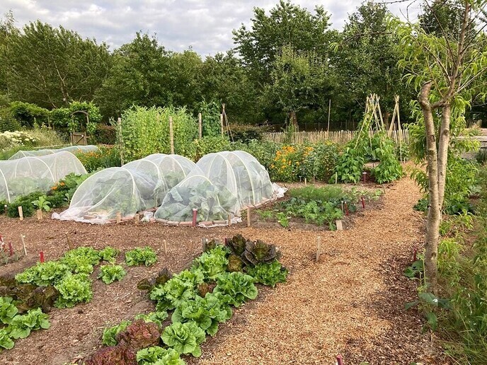 Heggenplanten bij de Lindehoeve - Foto: Ingezonden foto
