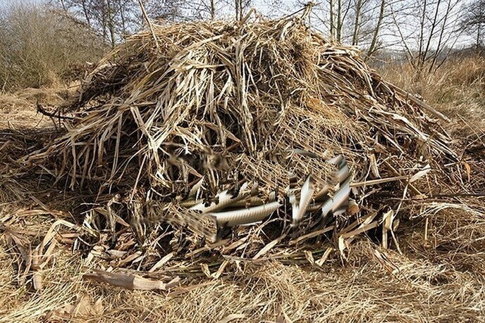 Slangen in broeihoop - Foto: Eigen geleverde foto