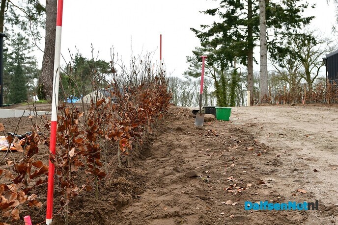 Park ’t Holt wordt een prachtige locatie - Foto: Johan Bokma