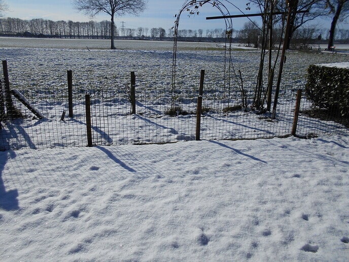Tuinieren? Was lastig vanmorgen
