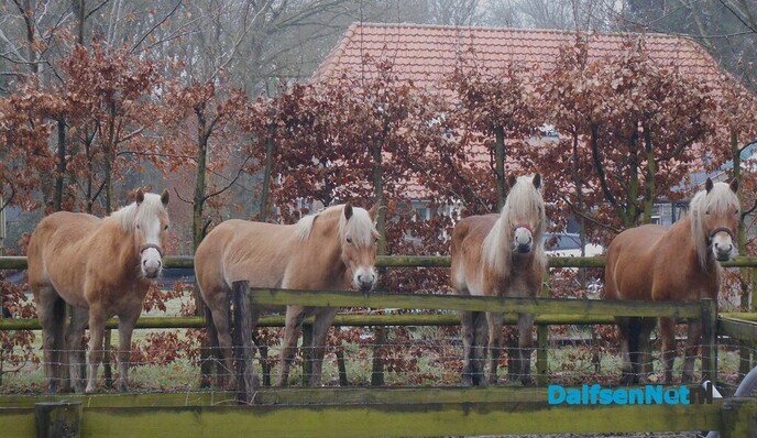 4 op een rij