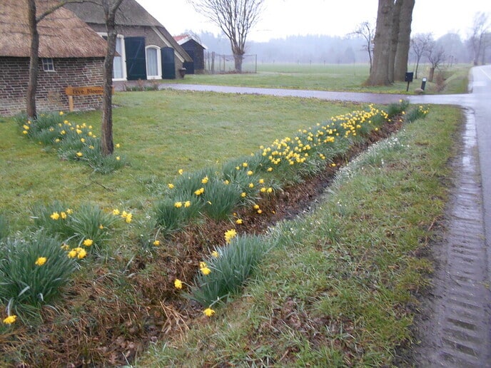 Het voorjaar komt er aan