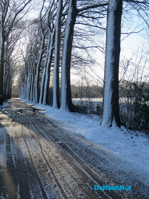 Nastoot van winter levert mooie plaatjes op - Foto: Wim